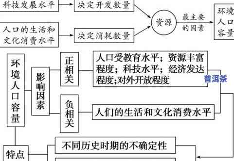 普洱茶发酵：含义、作用及原理全解析