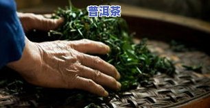 垃圾普洱茶都是叶子不成条-垃圾普洱茶都是叶子不成条状吗