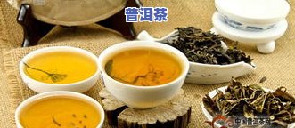 财富普洱茶-财富普洱图