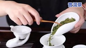 湖北茶叶种类全览：详细介绍各类名优茶品