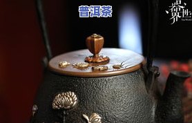 铁壶普洱茶-铁壶 普洱