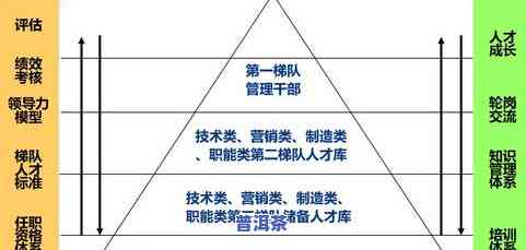 茶叶加工存在问题及措施分析