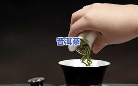 大师作茶叶：真的是一款吗？探讨其真实性与品种