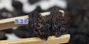 老普洱茶现在多少钱一斤-老普洱茶现在多少钱一斤啊