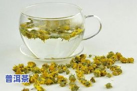 茶叶可以泡菊花茶吗？功效、做法与百科全解