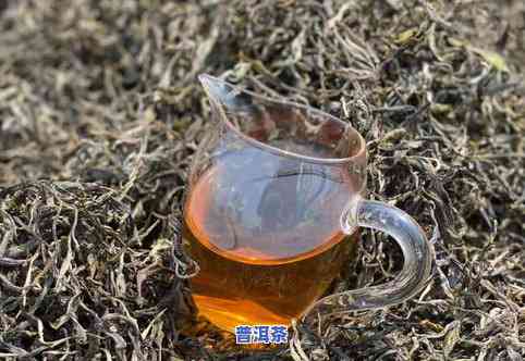 绥阳普洱茶-普洱县普洱茶