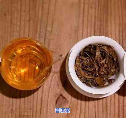 绥阳普洱茶-普洱县普洱茶