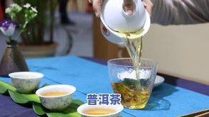 高清普洱茶古树照片大全图片及价格一览