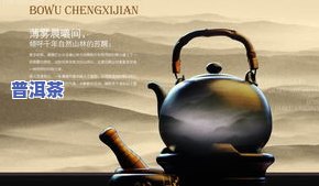 云南一壶茶业：极客215茶叶品质怎样？官网介绍及招聘信息