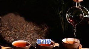 兰西普洱茶-兰香普洱茶