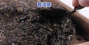 小金饼普洱茶：存放、价格与熟茶功效全解析