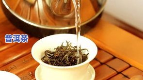 普洱茶水可以蒸饭？答案是……