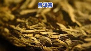 落水洞普洱生茶特点：口感醇厚，带有一丝淡淡的花果香，产自云南普洱茶区的古老茶园。