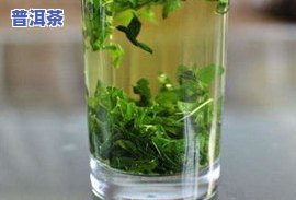 苦丁茶叶泡水喝真的能降血压吗？探讨科学依据与正确饮用方法