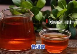 乾隆饮普洱茶：功效、作用、禁忌及副作用全解析