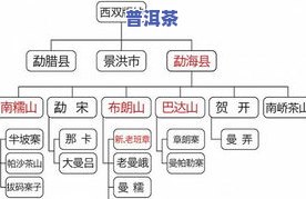 普洱茶三个阶段的特点：从新茶到老茶的变化过程与特点探究