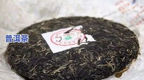 普洱茶的代号及其含义是什么？