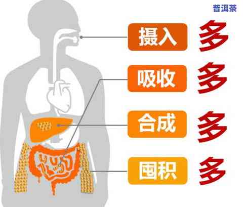 茶叶会不会减少效？探讨其可能的作用与机制