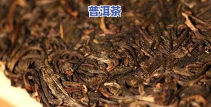 普洱茶一般用什么香型-普洱茶一般用什么香型的