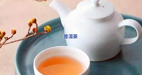 普洱茶：新茶与陈茶的口感比较，哪个更好？