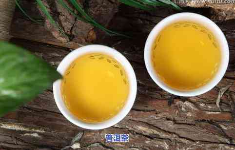 龙园号普洱茶大班章价格全览：生茶、熟茶及历年价格对比