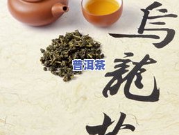 茶青普洱茶-普洱茶 青茶