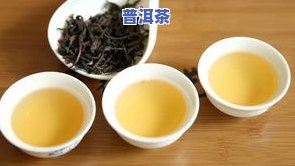 茶青普洱茶-普洱茶 青茶