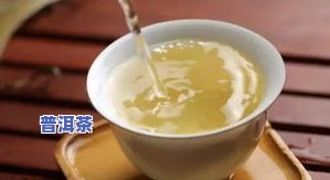 书香茗茶：探寻古树茶坊的香气与韵味