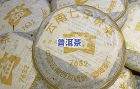 2005老同志普洱茶拍卖价格及历年行情全解析