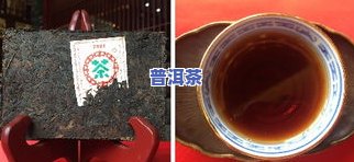 广东普洱茶发展史介绍图-广东普洱茶发展史介绍图片