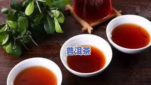 普洱茶香怎么出来？详解普洱茶的香来源、特点及形成原因