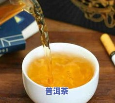 沉香普洱茶之保健功效大揭秘：从茶叶种类到冲泡方法全解析