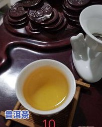 信茂堂普洱茶官网旗舰店地址、电话及产品评价全揭秘