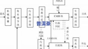 全面解析普洱茶晒青技术工艺及其流程图