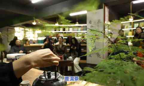 围炉夜话普洱茶-围炉煮茶夜话