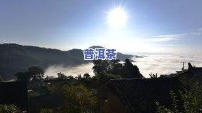 普洱茶大印-普洱茶大印山