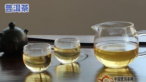 普洱茶饼冲泡指南：多少水、每次放多少、用多少度的水、泡多久？