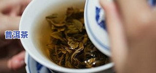 普洱茶和蚕豆相克吗能喝吗-普洱茶和蚕豆相克吗能喝吗有吗