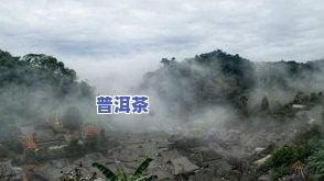 云南佤族普洱茶产地：探索神秘的普洱世界