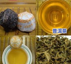 云南必买普洱茶种类：详细介绍与特点