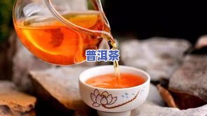 普洱茶真的可以润肺吗？如何正确饮用以达到更佳效果？