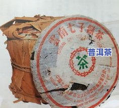 普洱茶界泰斗：炳良、制茶大师卫老师等业界权威