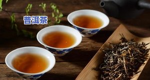 十几年的陈茶能喝吗？茶叶放了多年是否还能饮用？