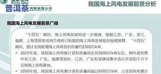 深入探讨紧压普洱茶陈化原因及其影响因素的分析报告