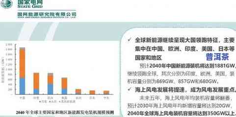 深入探讨紧压普洱茶陈化原因及其影响因素的分析报告