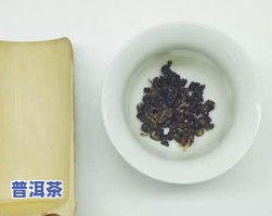 普洱茶紧压茶：品种、泡法、价格与品质特征全解析