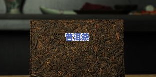 普洱茶紧压茶：品种、泡法、价格与品质特征全解析