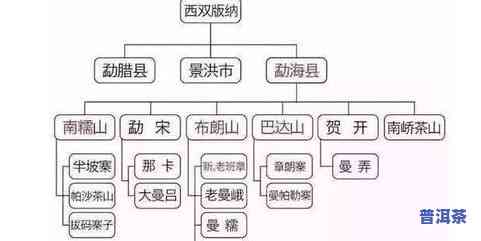 勐腊茶叶：主产区、市场与知名品种全解析