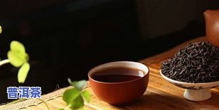 普洱茶冬季前景-普洱茶冬季前景怎样