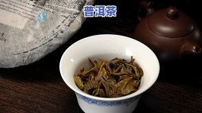 云南七子饼普洱茶易武青饼：2004年正山生茶价格及最新市场行情